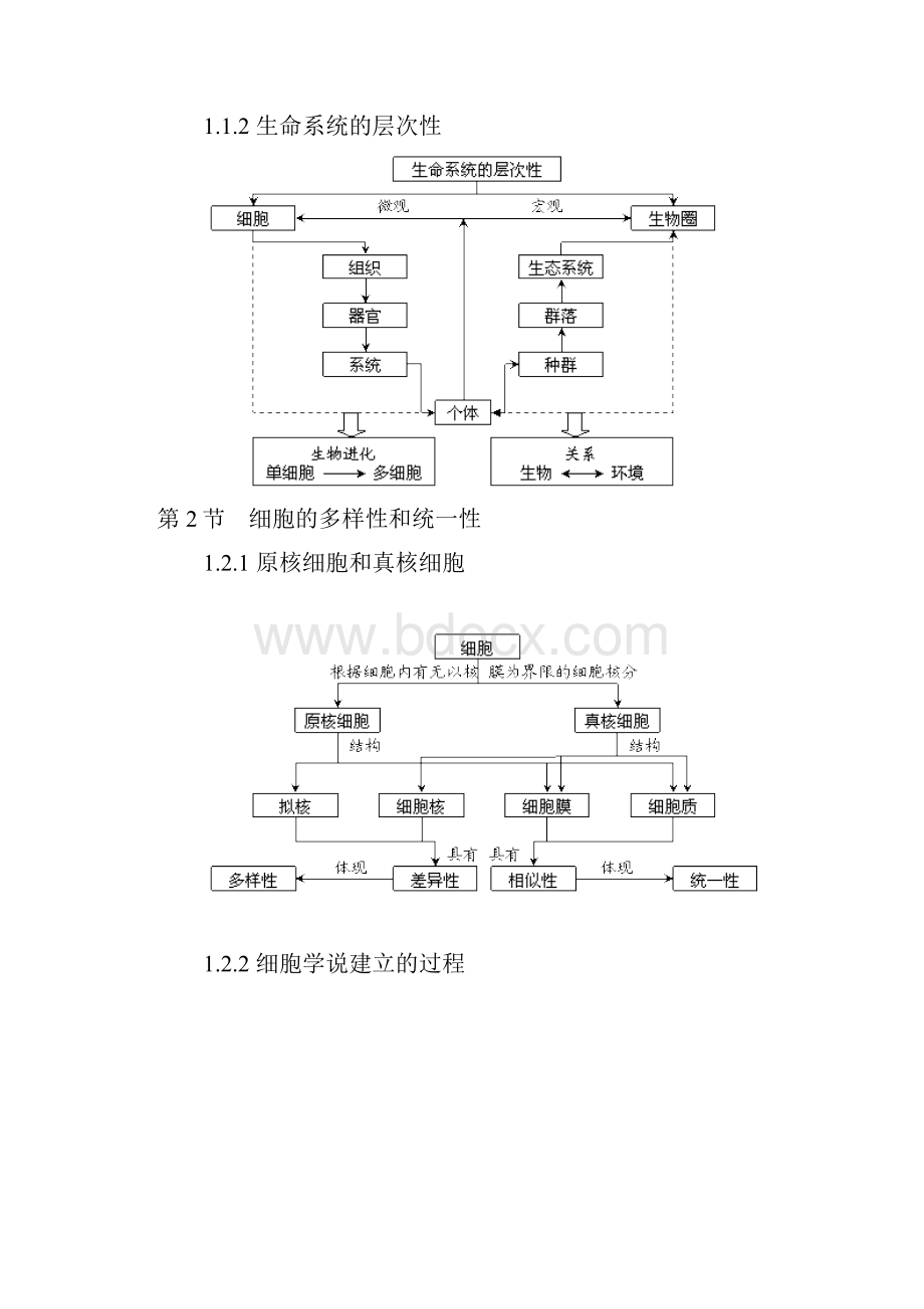 生物必修一知识网络.docx_第2页