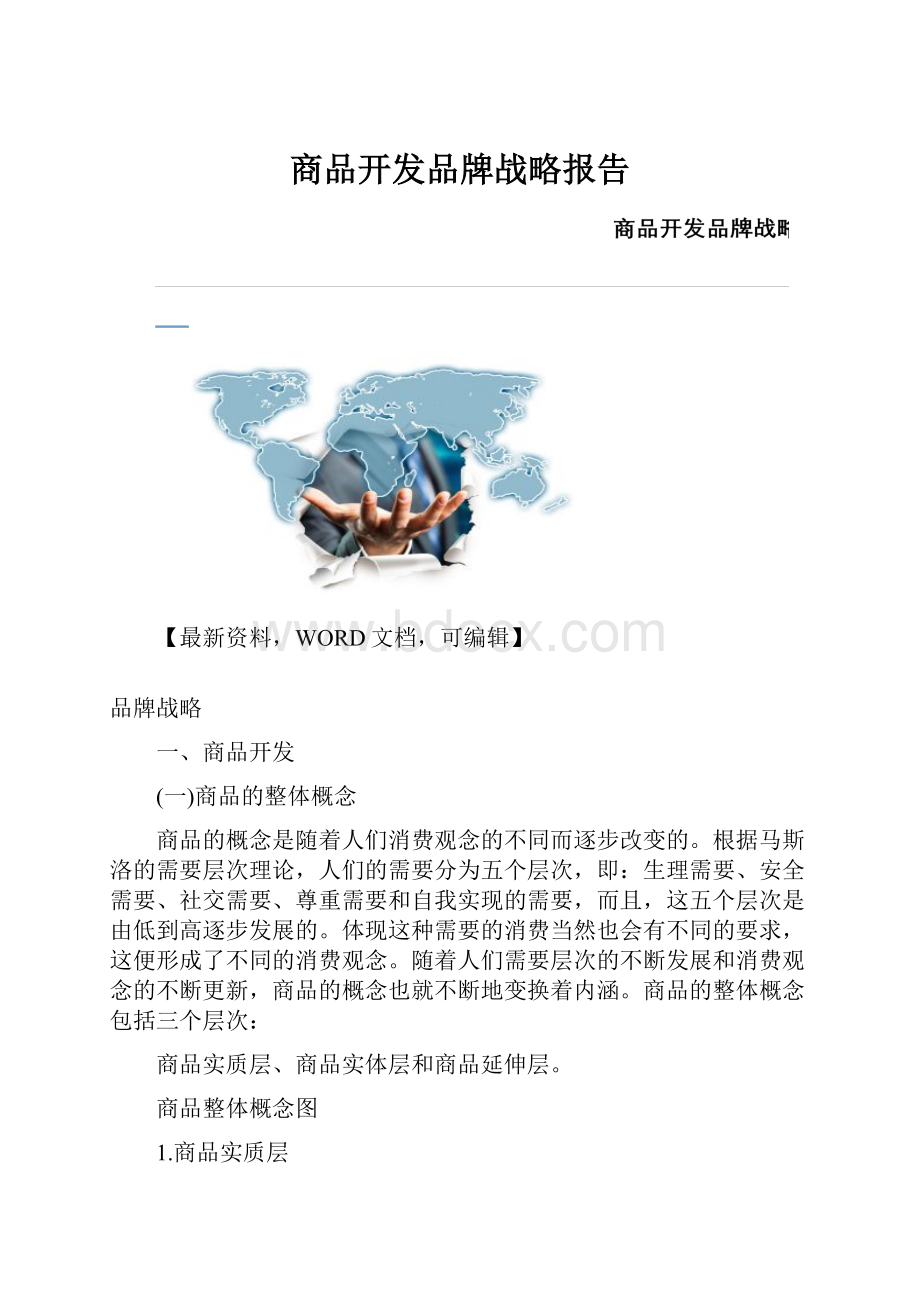 商品开发品牌战略报告.docx_第1页