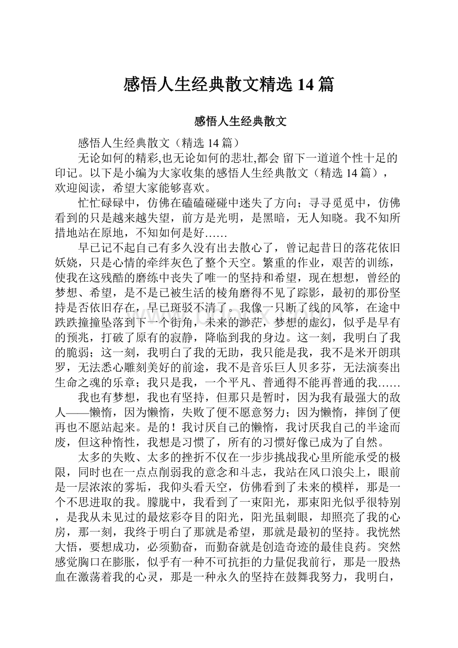 感悟人生经典散文精选14篇.docx