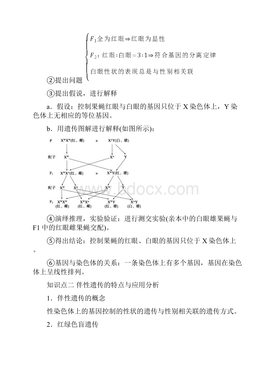 届高考生物一轮复习知识点讲解专题53 基因在染色体上和伴性遗传含答案.docx_第3页