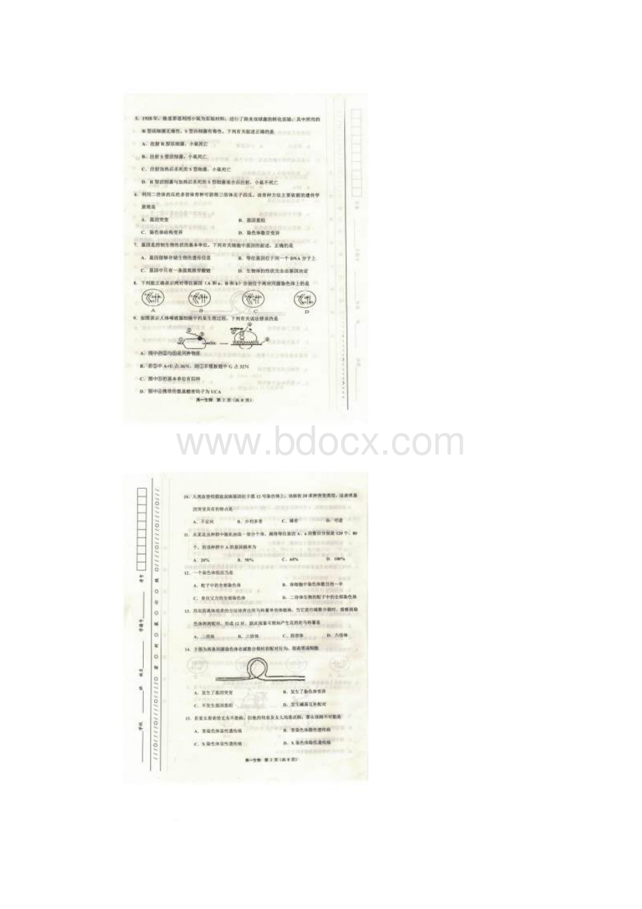 天津市部分区学年度第二学期期末考试 高一生物含答案.docx_第2页