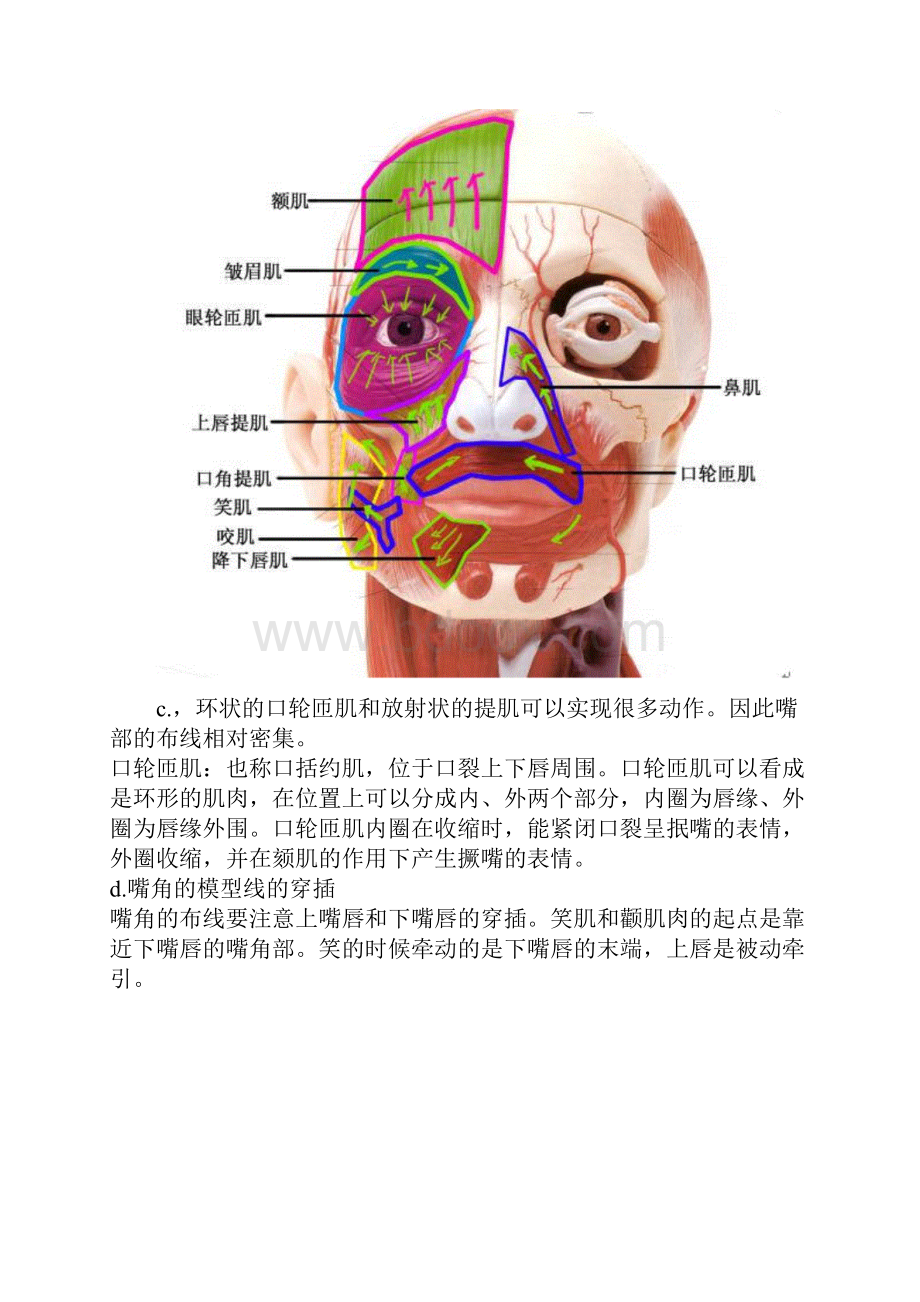 整理人头建模详解.docx_第3页