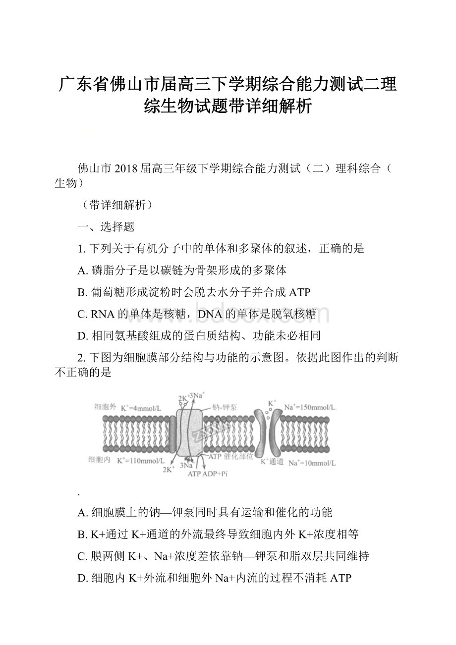 广东省佛山市届高三下学期综合能力测试二理综生物试题带详细解析.docx