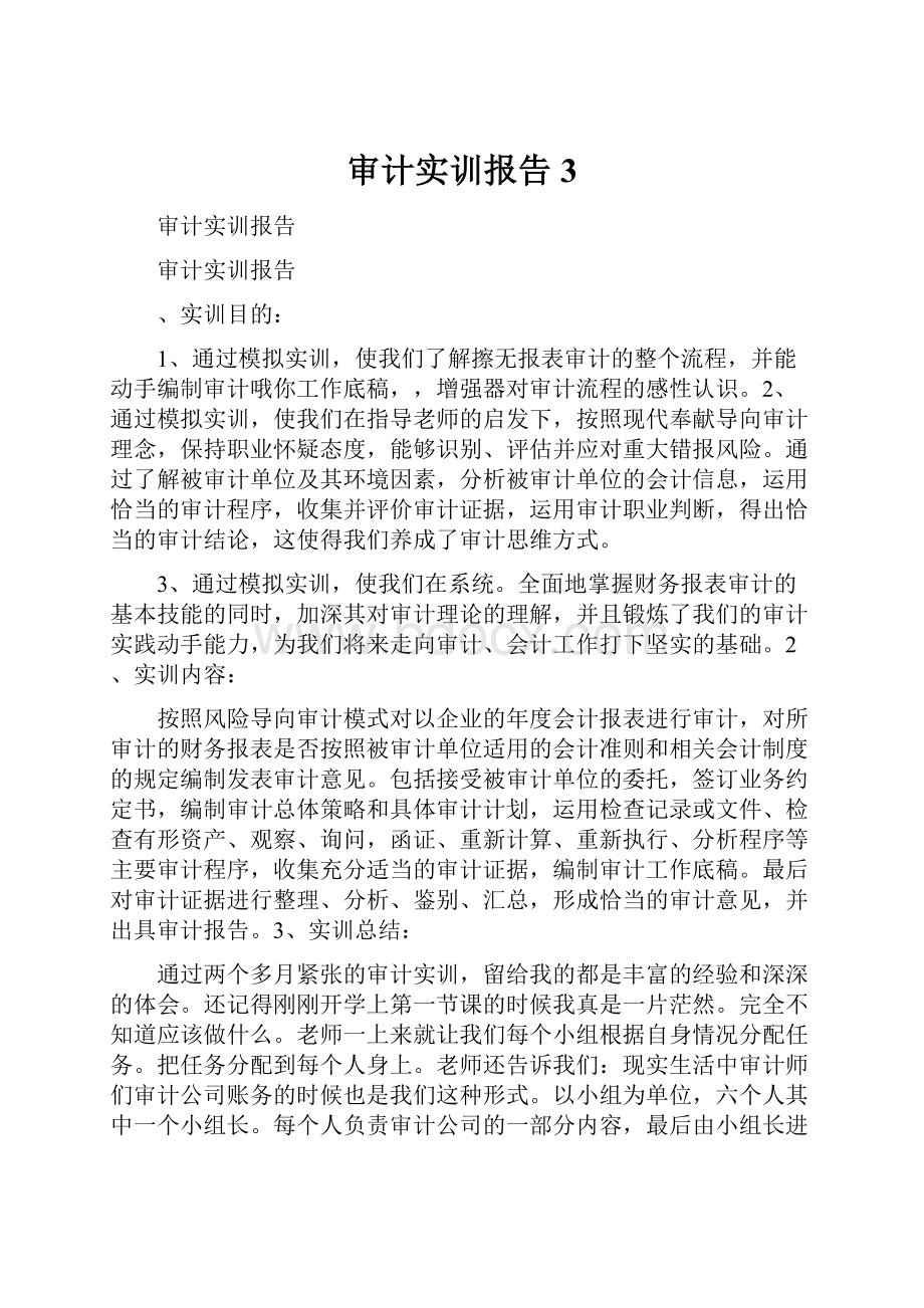 审计实训报告3.docx_第1页