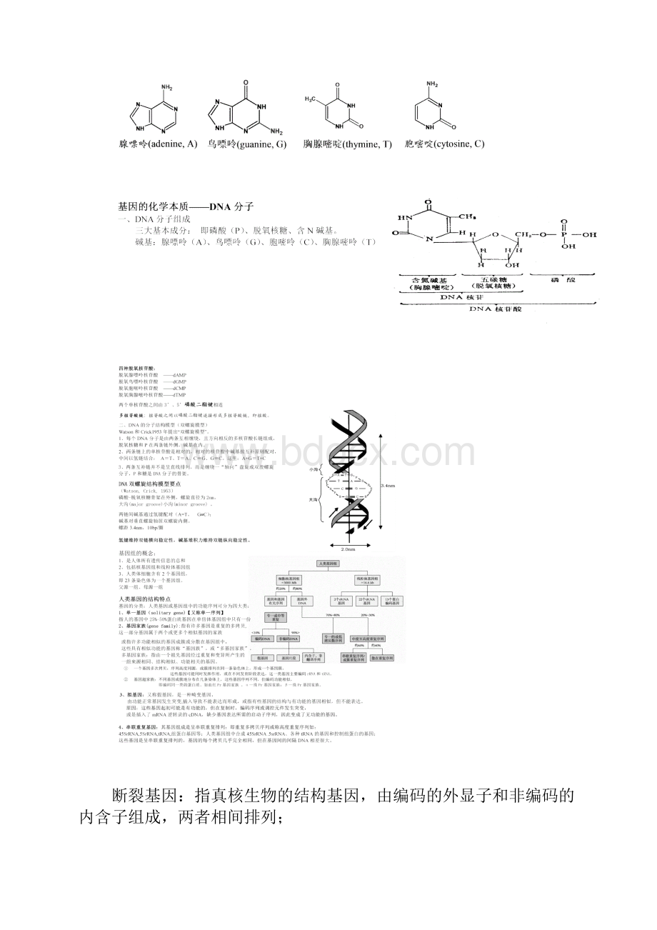 医学遗传学笔记.docx_第3页