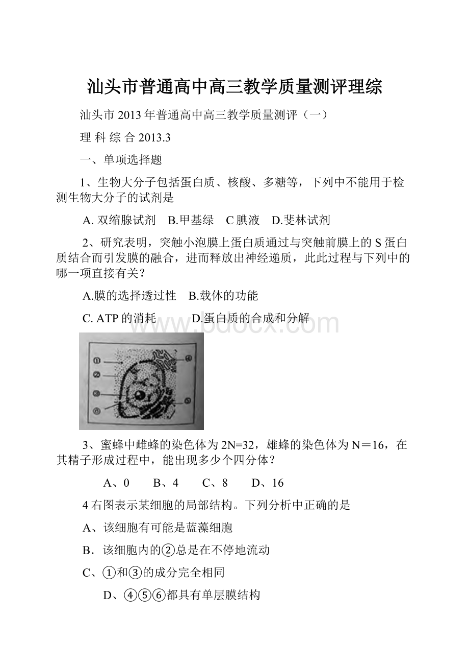 汕头市普通高中高三教学质量测评理综.docx_第1页