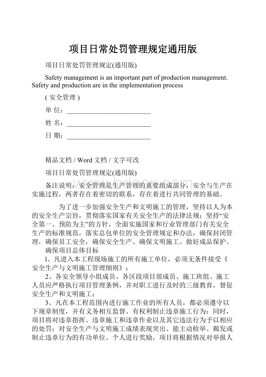 项目日常处罚管理规定通用版.docx_第1页