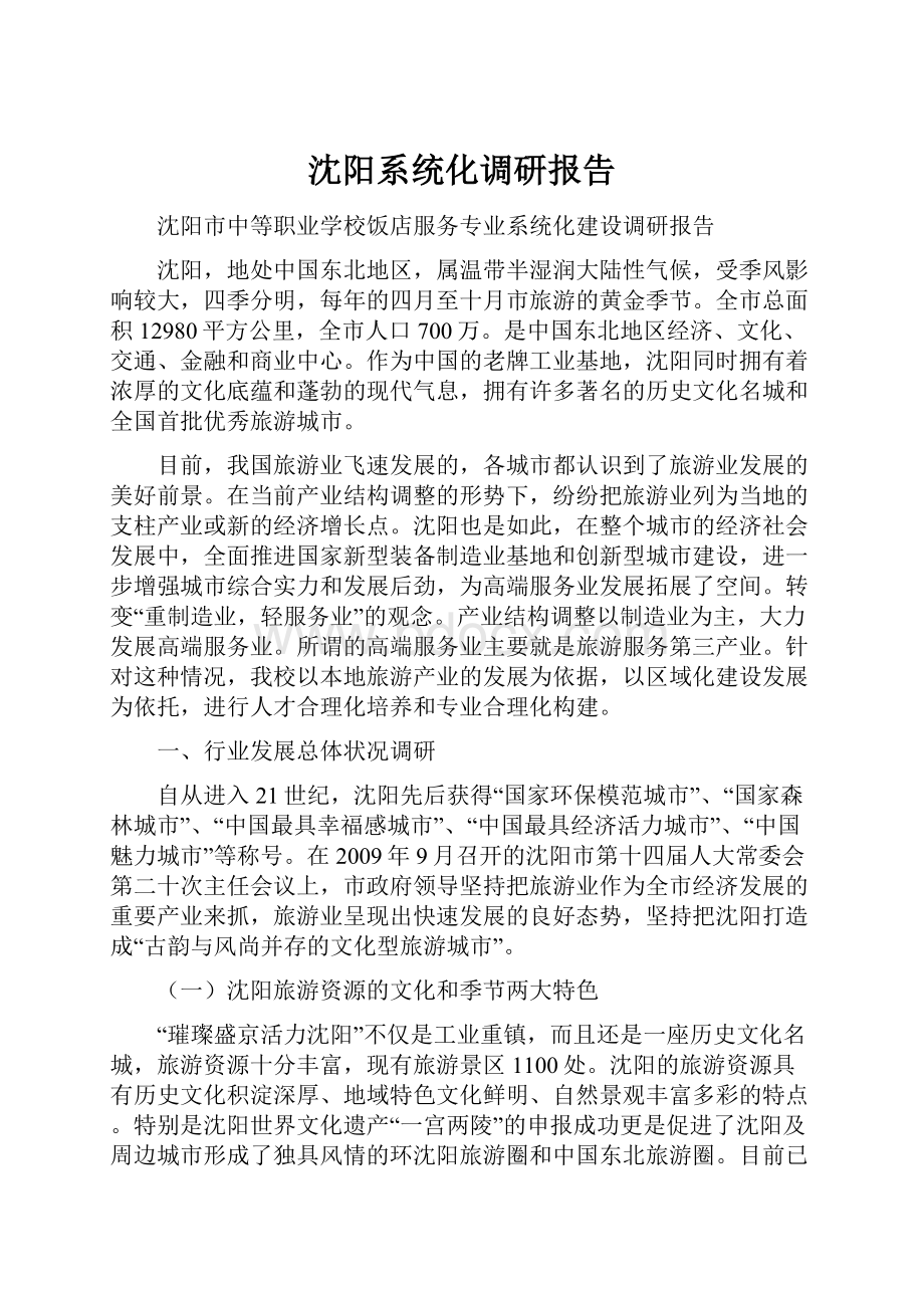 沈阳系统化调研报告.docx_第1页