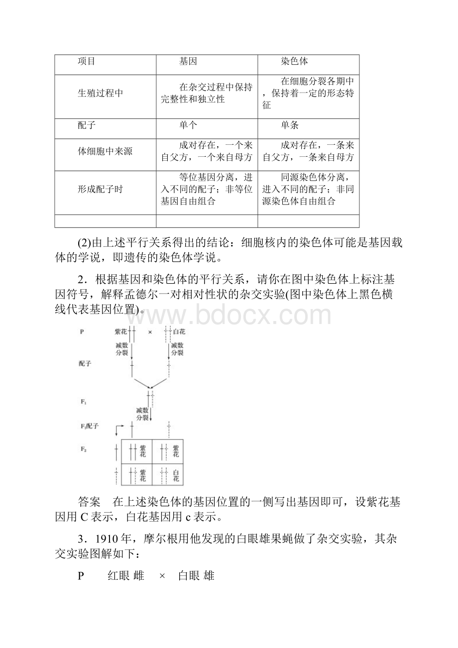 新高考生物一轮复习第四单元孟德尔定律和染色体与遗传第16讲遗传的染色体学说性染色体与伴性遗传讲义浙科.docx_第2页