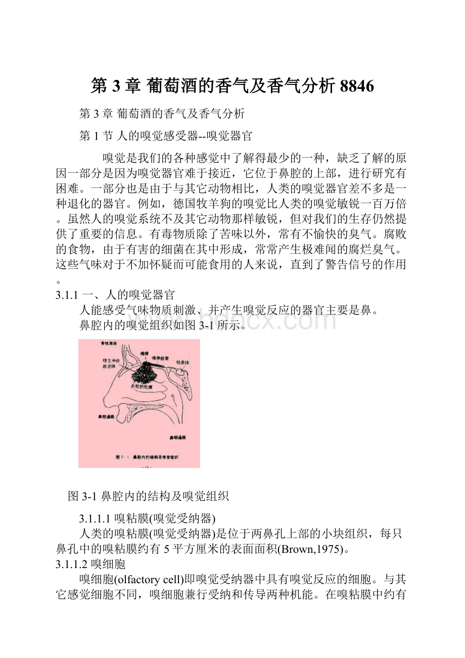 第3章 葡萄酒的香气及香气分析8846.docx_第1页