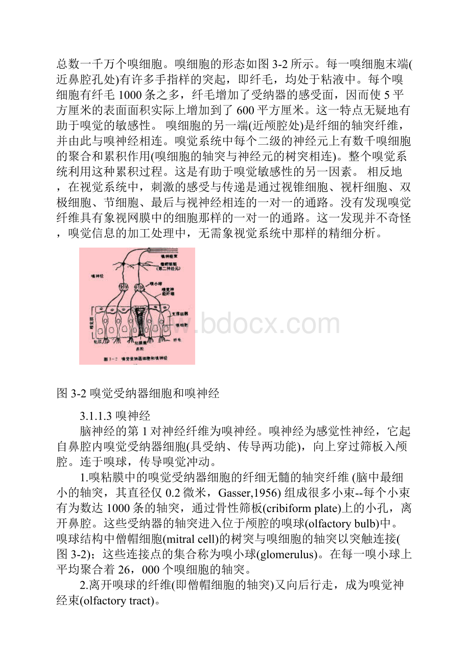 第3章 葡萄酒的香气及香气分析8846.docx_第2页