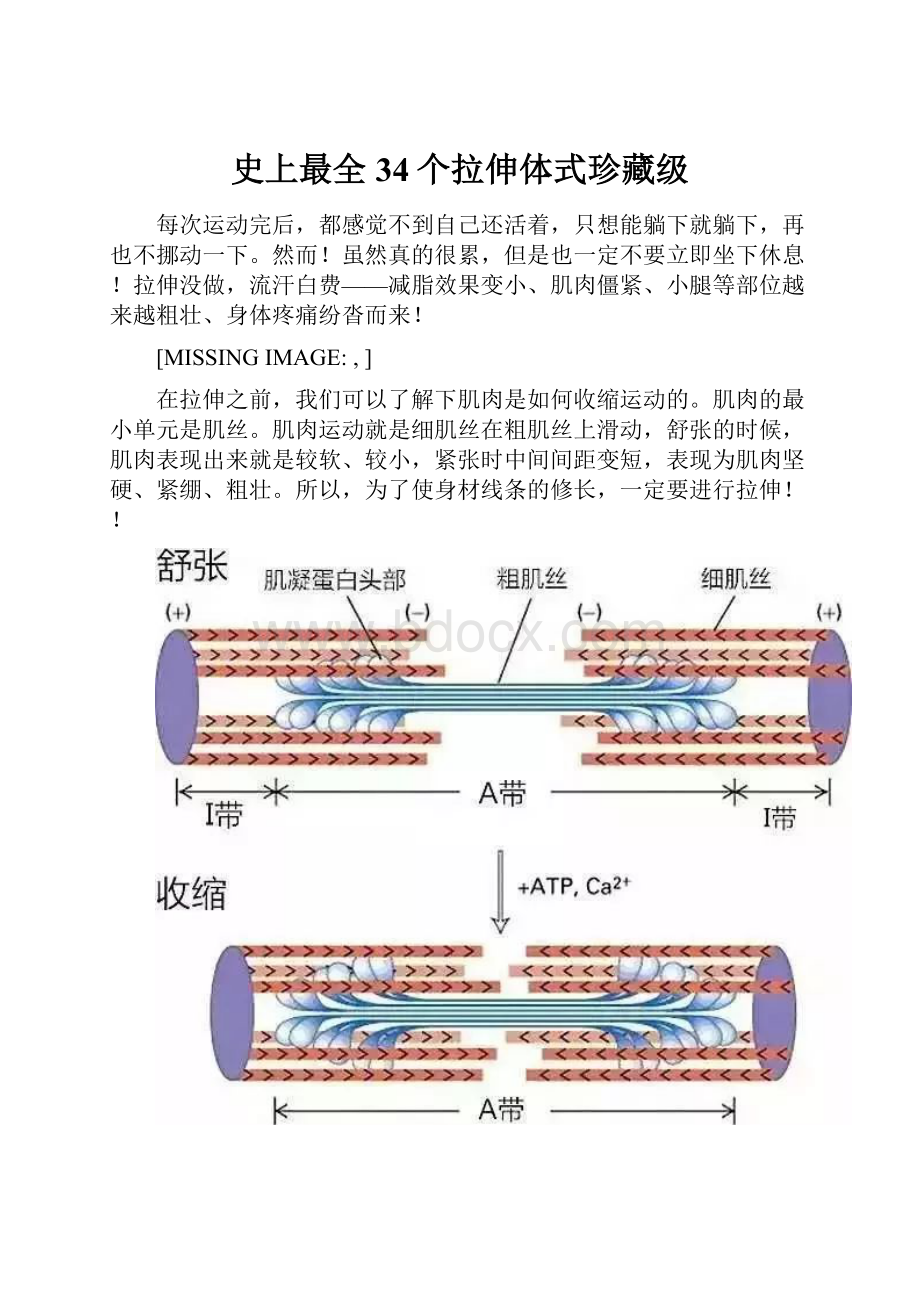 史上最全34个拉伸体式珍藏级.docx