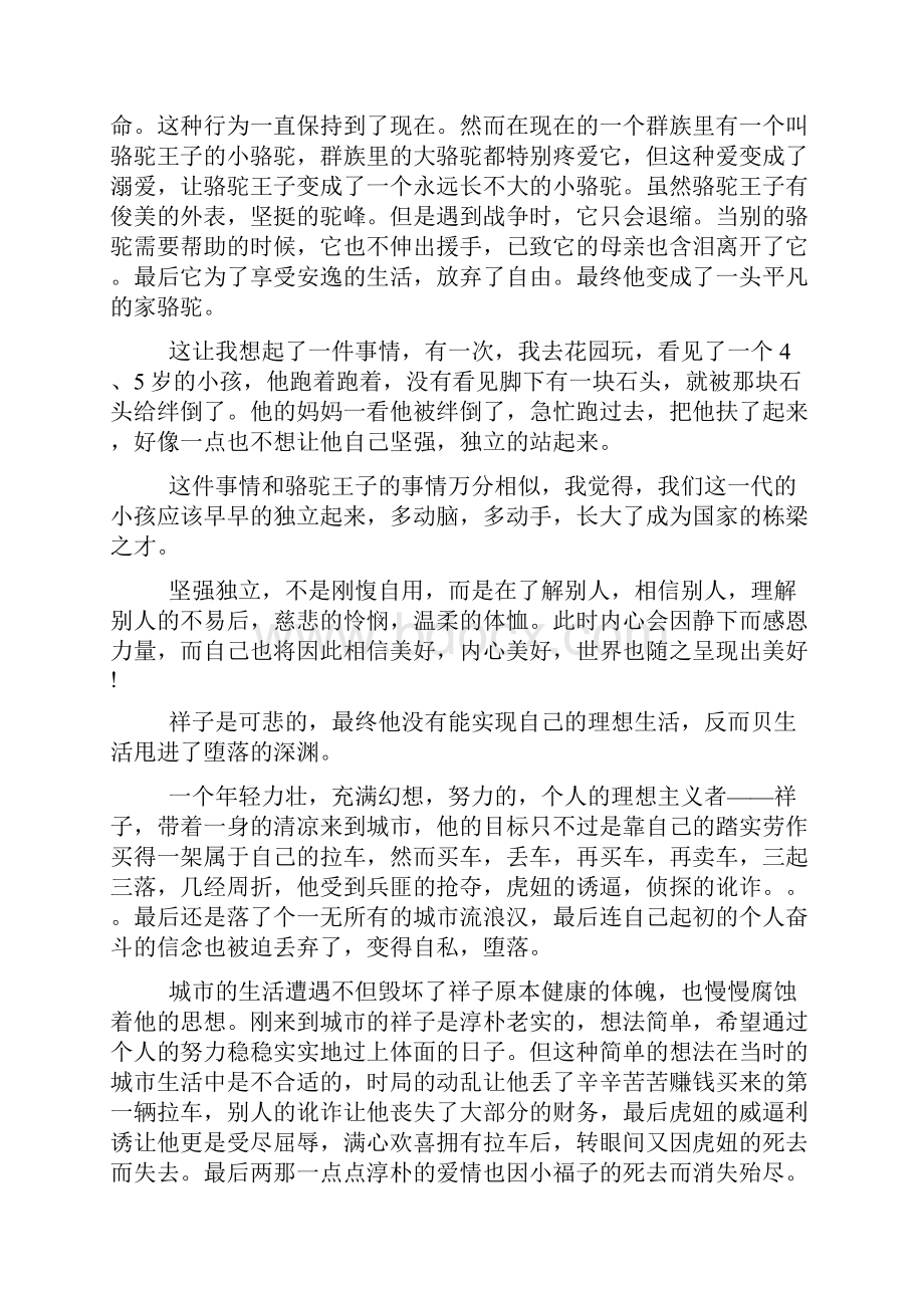 《骆驼寻宝记》读书笔记.docx_第2页