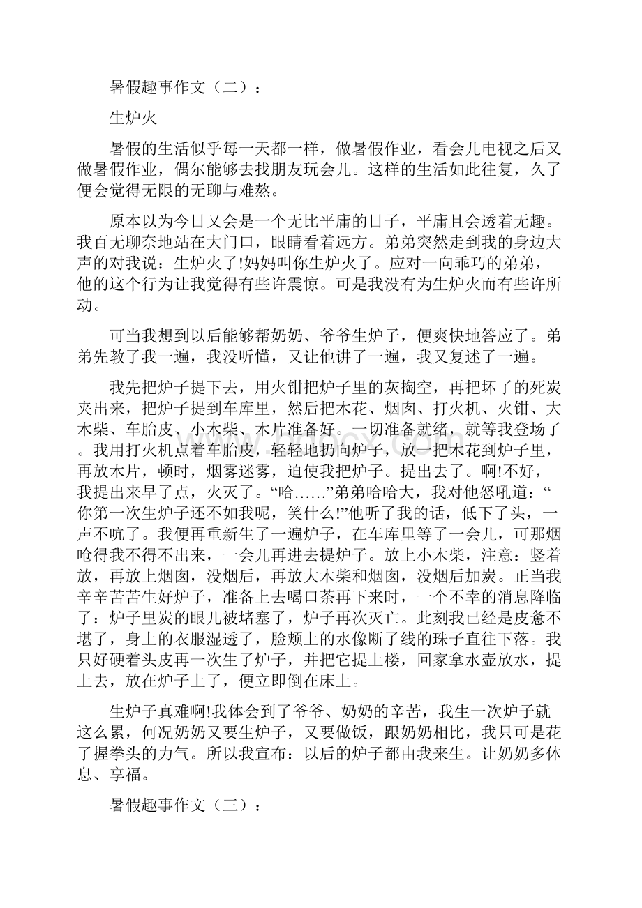 暑假趣事作文30篇寒假趣事作文.docx_第2页