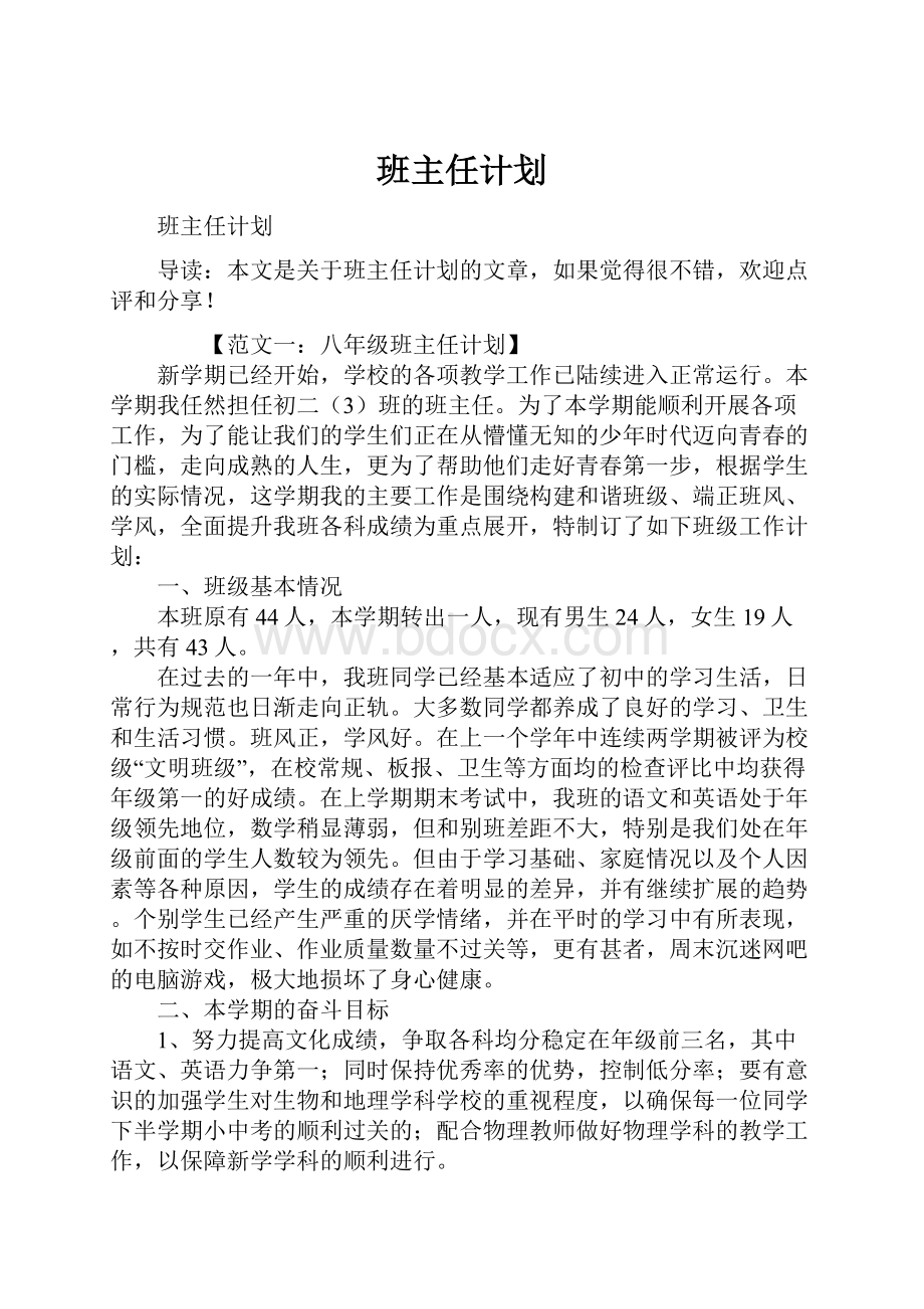 班主任计划.docx