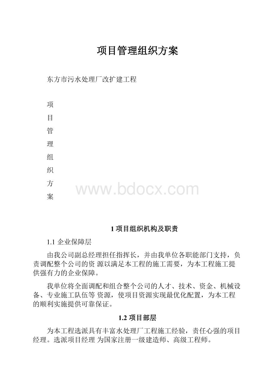 项目管理组织方案.docx_第1页