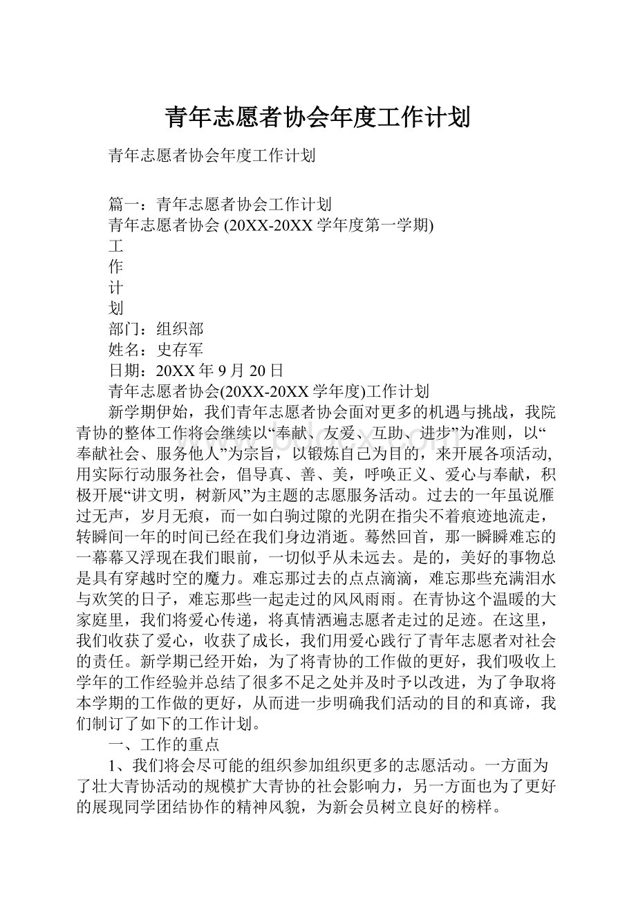 青年志愿者协会年度工作计划.docx