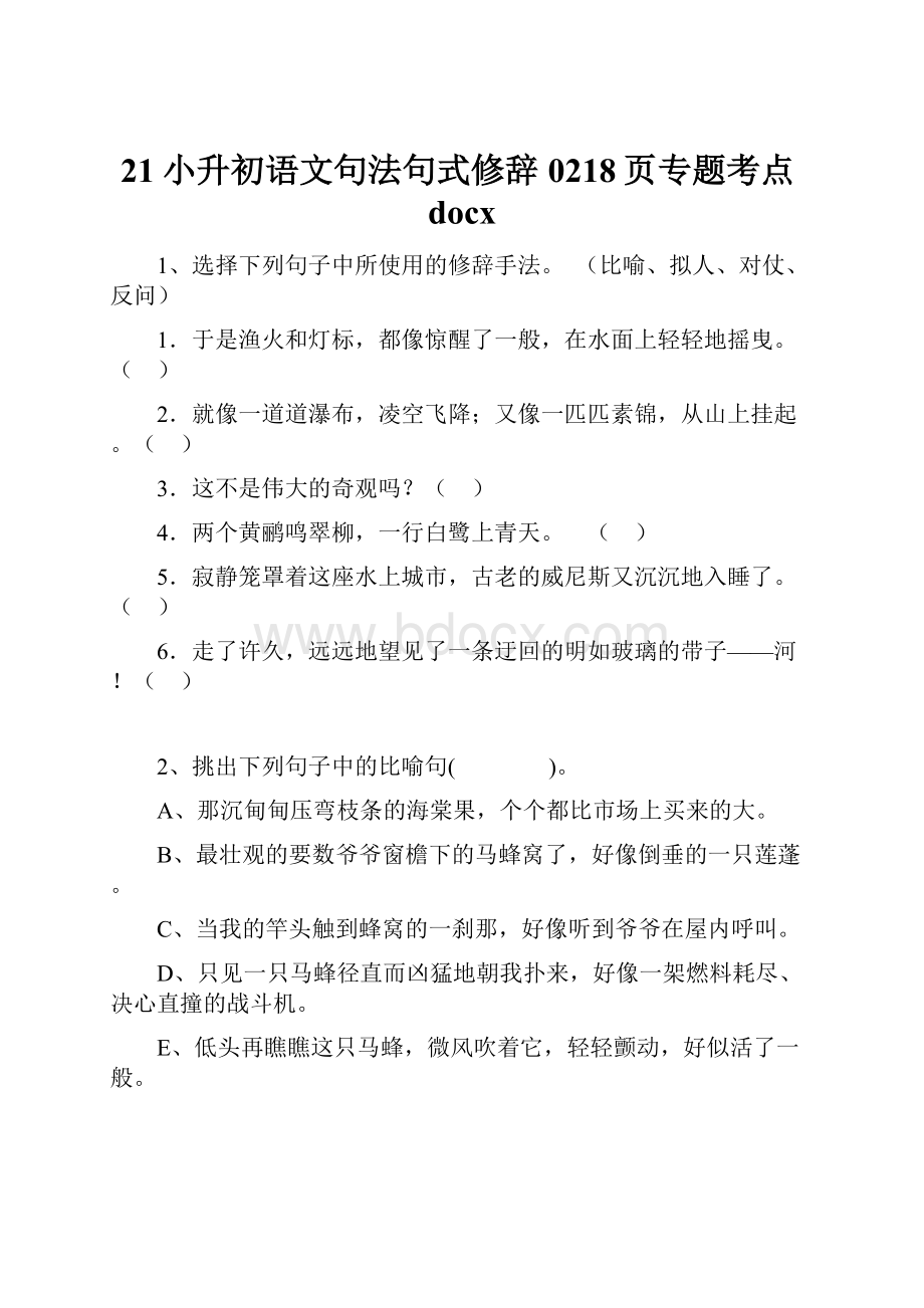 21小升初语文句法句式修辞0218页专题考点docx.docx_第1页