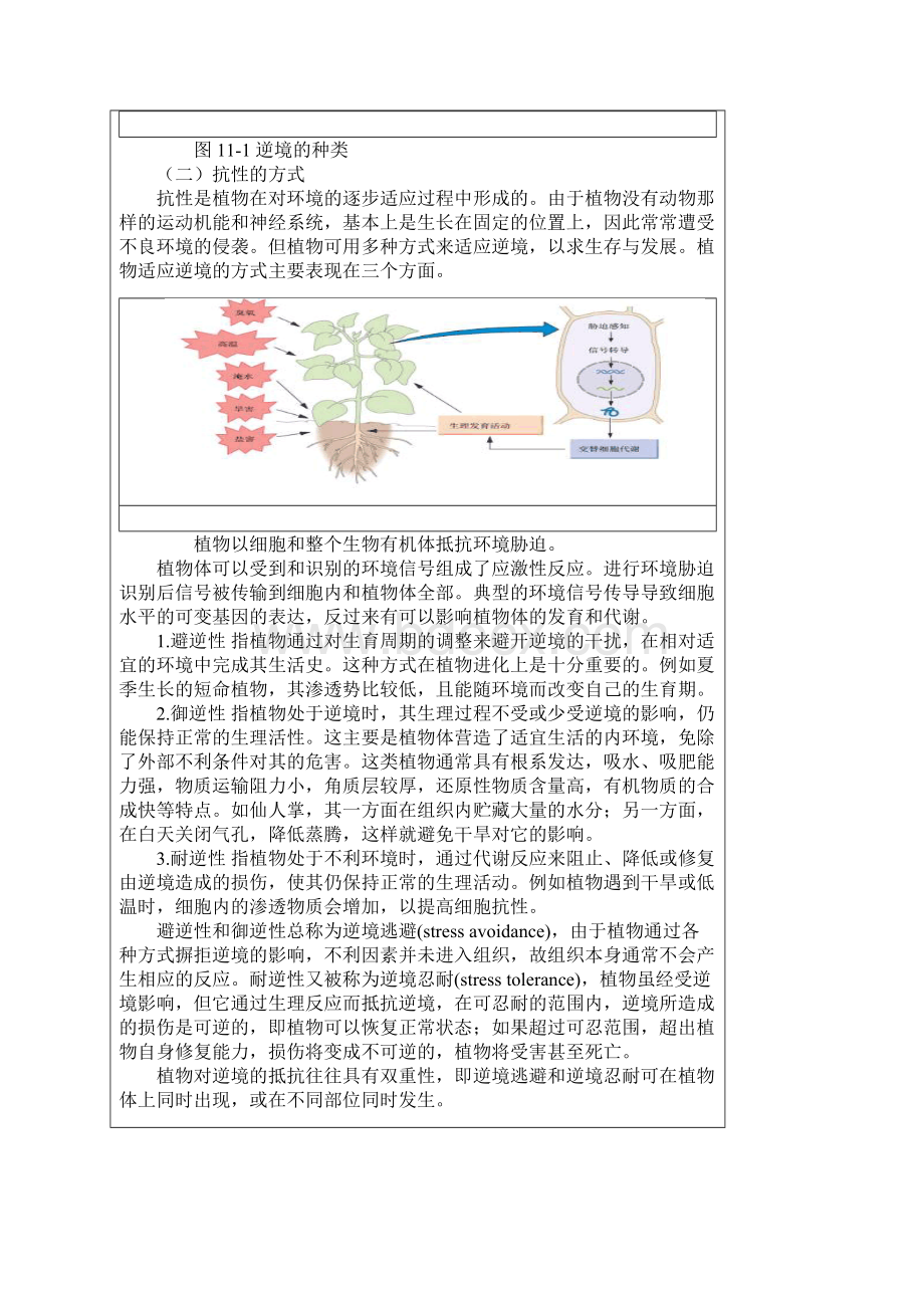 11 第十一章 植物的抗逆生理.docx_第2页