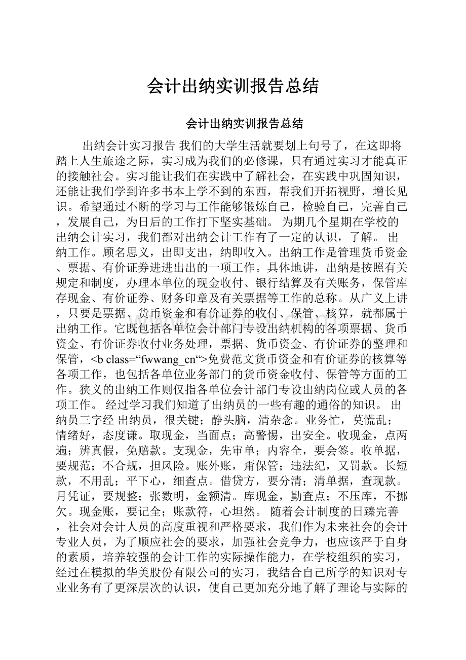 会计出纳实训报告总结.docx