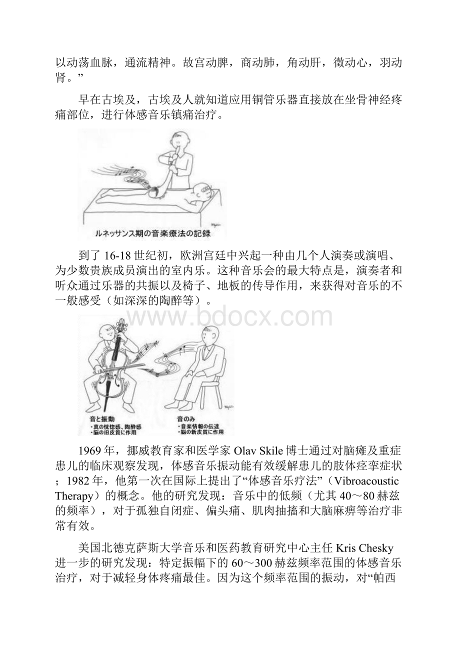 体感音乐疗法临床应用手册.docx_第2页