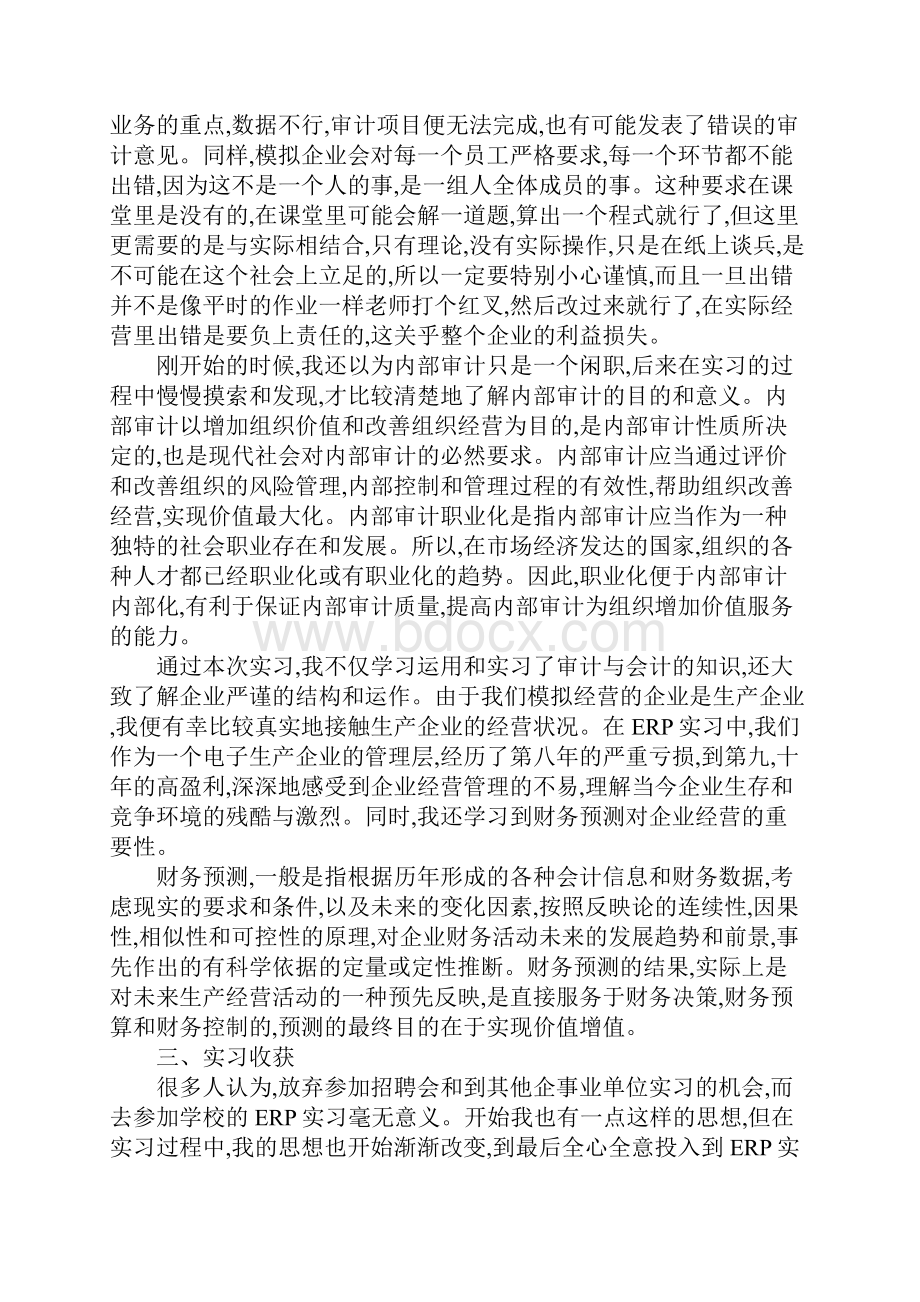 审计专业顶岗实习报告总结.docx_第2页