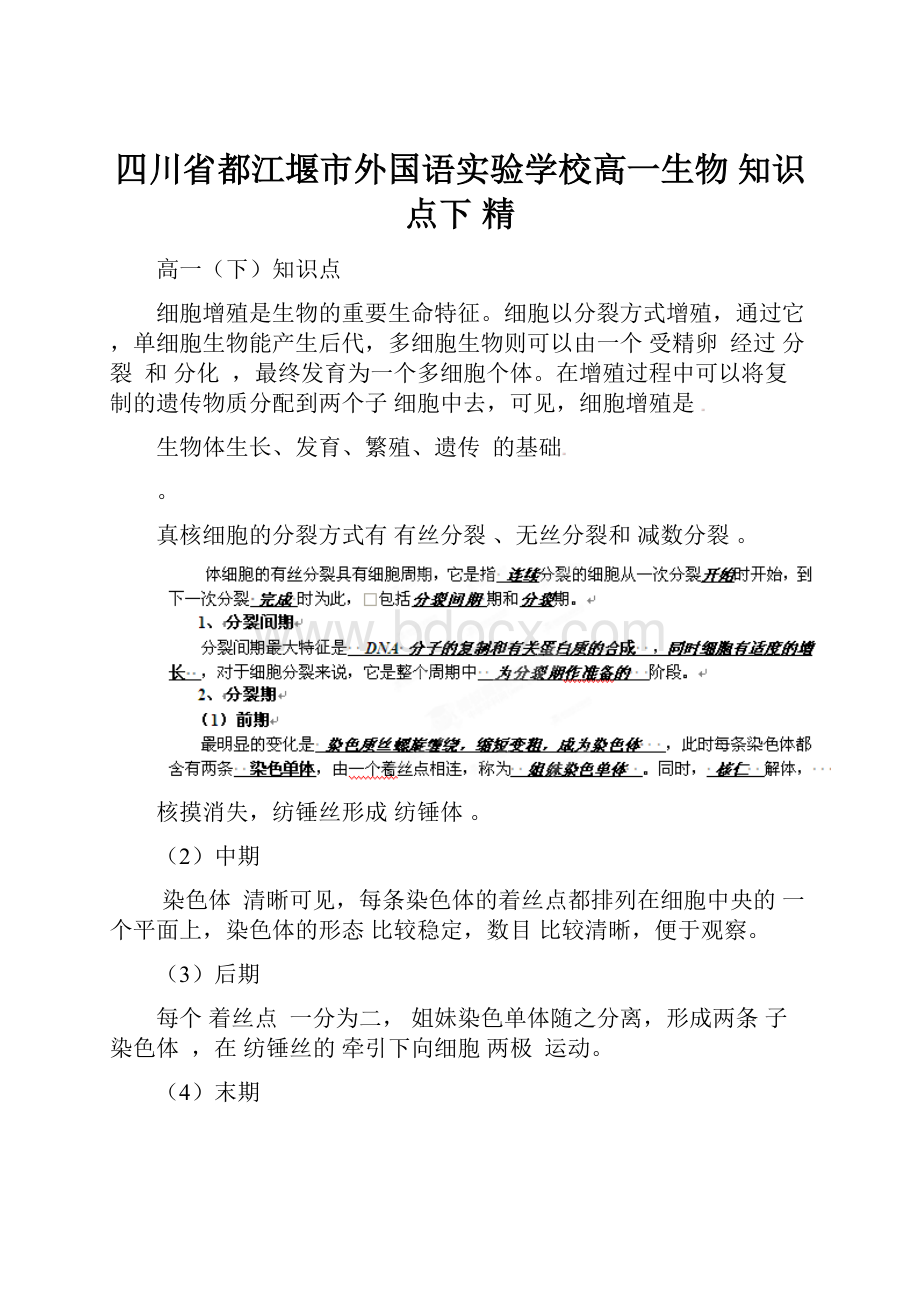 四川省都江堰市外国语实验学校高一生物 知识点下 精.docx