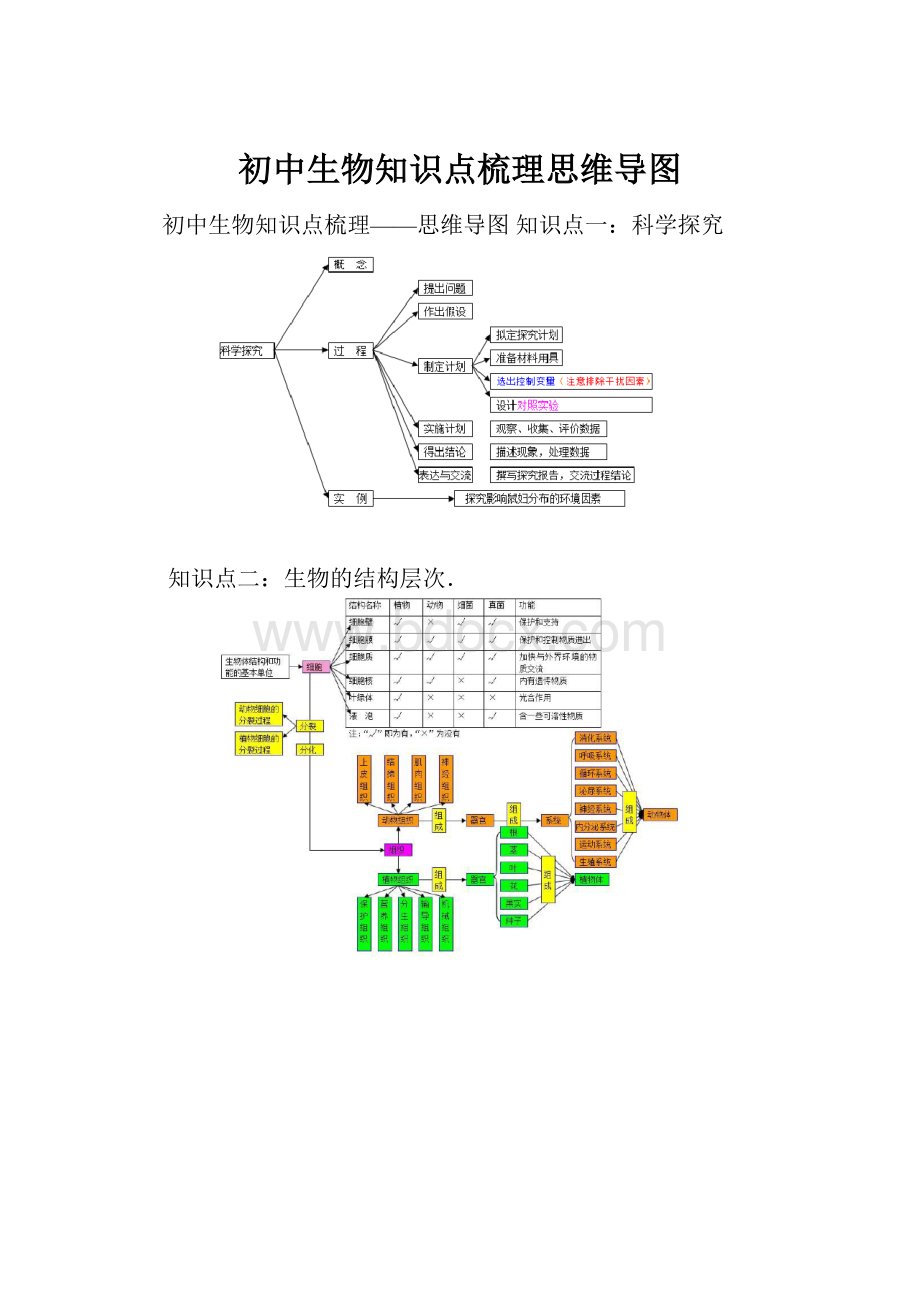 初中生物知识点梳理思维导图.docx