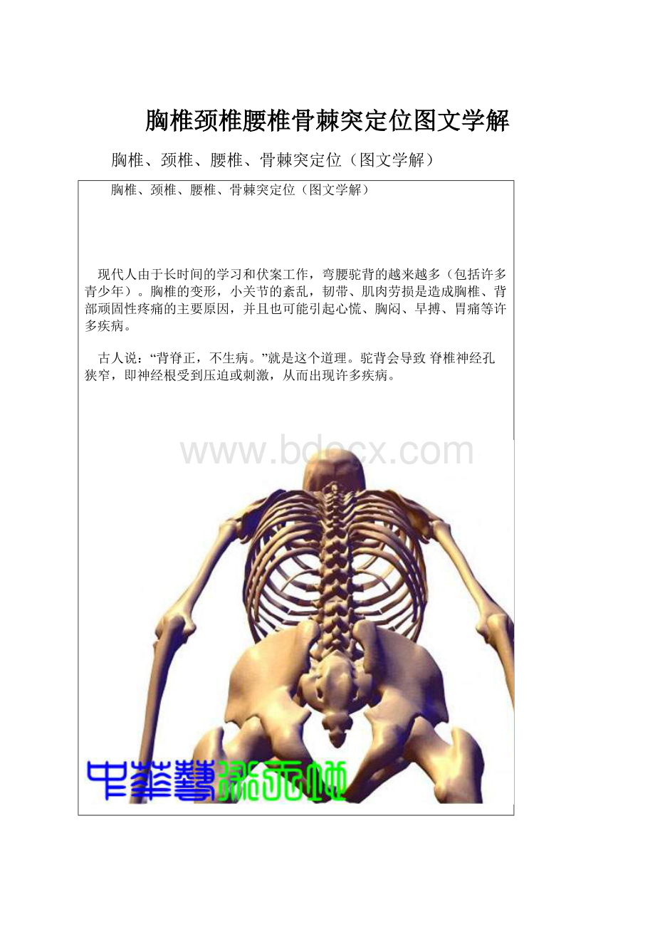 胸椎颈椎腰椎骨棘突定位图文学解.docx_第1页