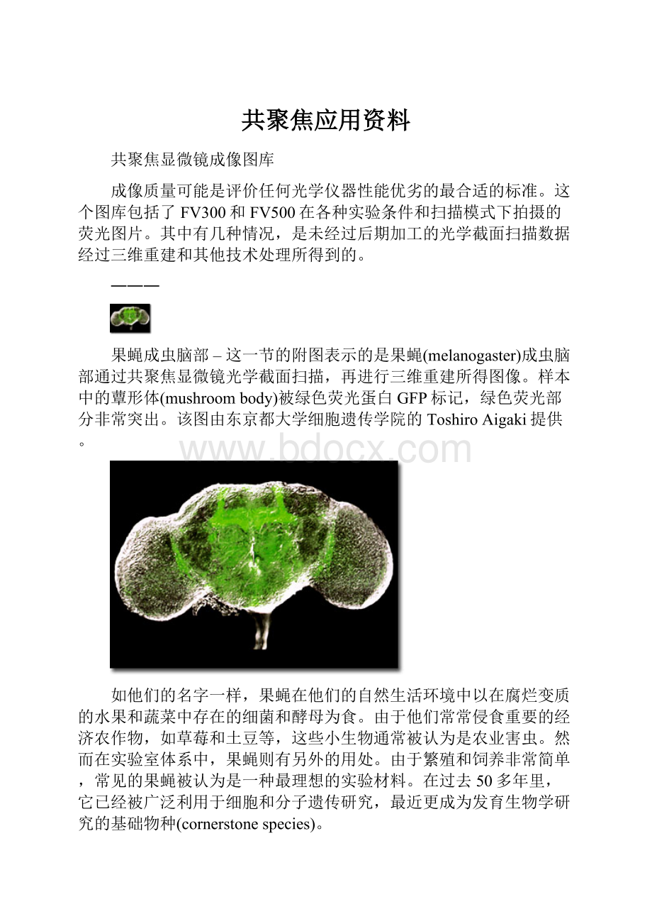 共聚焦应用资料.docx_第1页