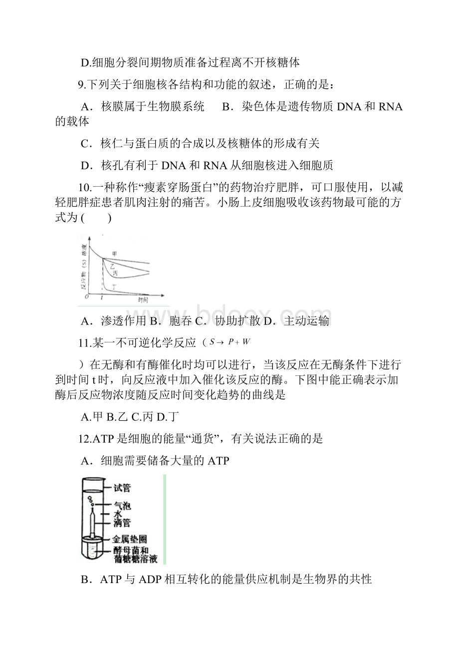 福建省安溪八中届高三生物上学期期末模拟测试试题新人教版.docx_第3页