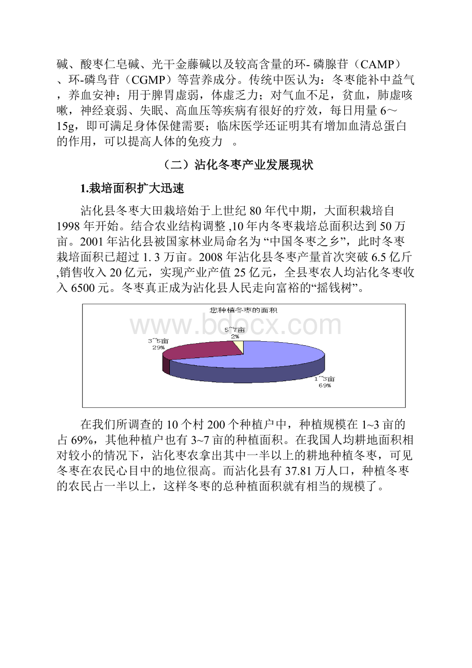 沾化冬枣营销渠道分析.docx_第2页