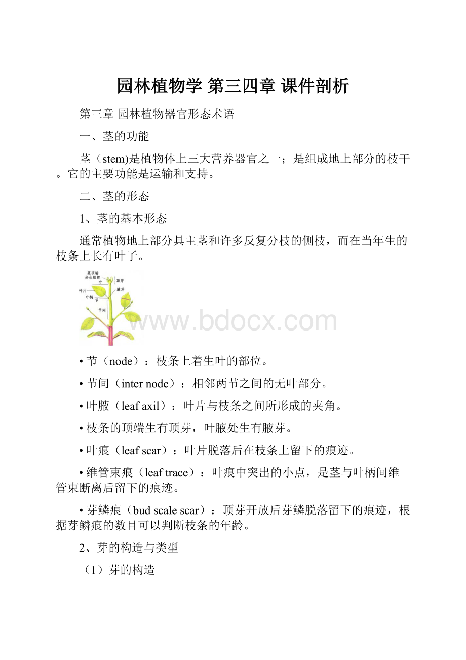 园林植物学 第三四章 课件剖析.docx_第1页