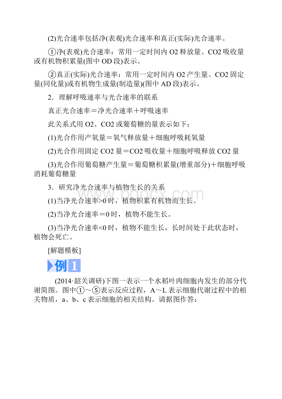 《课堂新坐标》高考生物大一轮复习配套单元归纳必修1+第三单元+细胞的能量供应和利用.docx_第2页