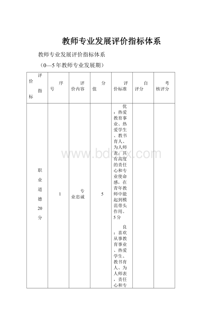 教师专业发展评价指标体系.docx_第1页