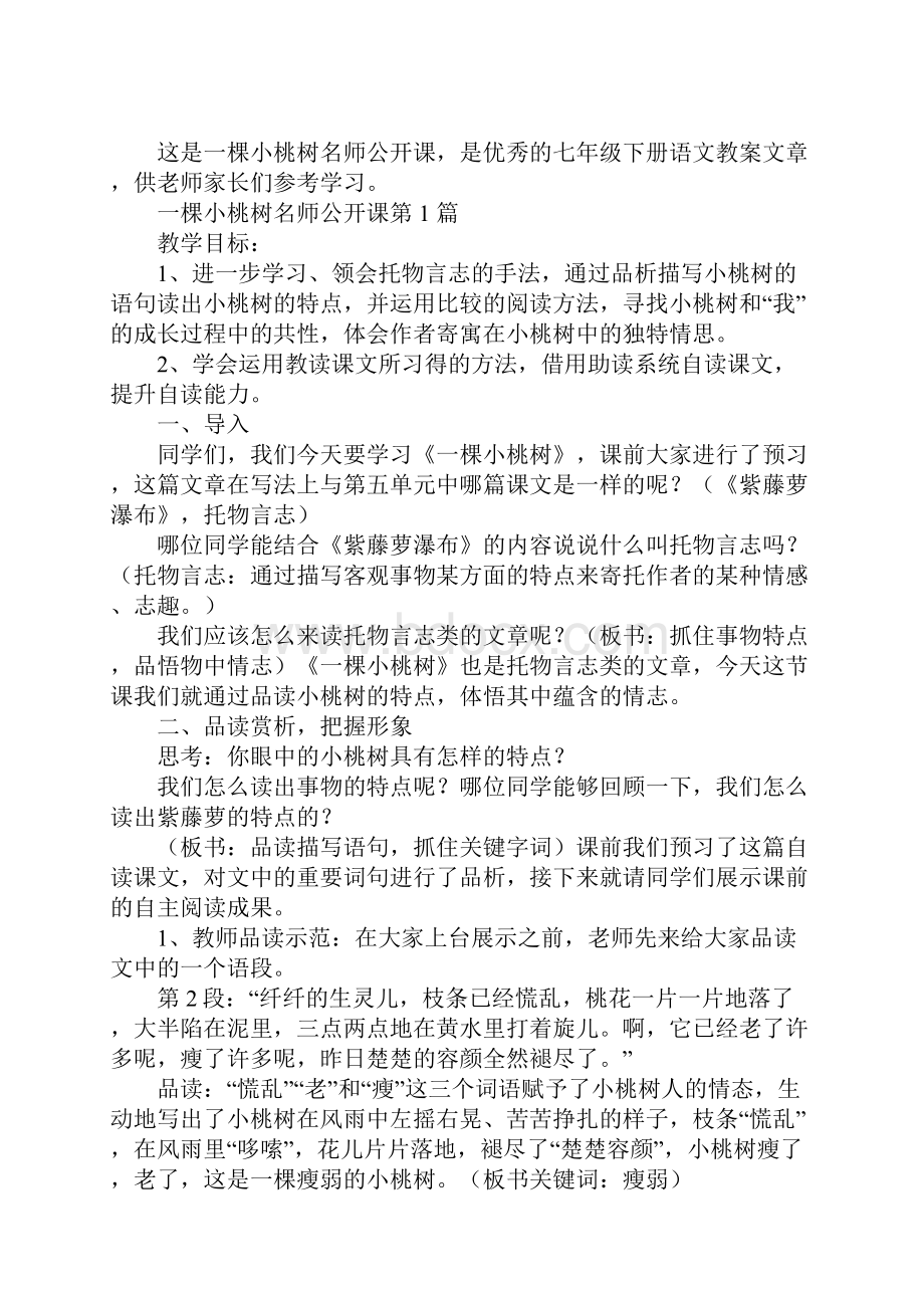 一棵小桃树名师公开课.docx_第2页