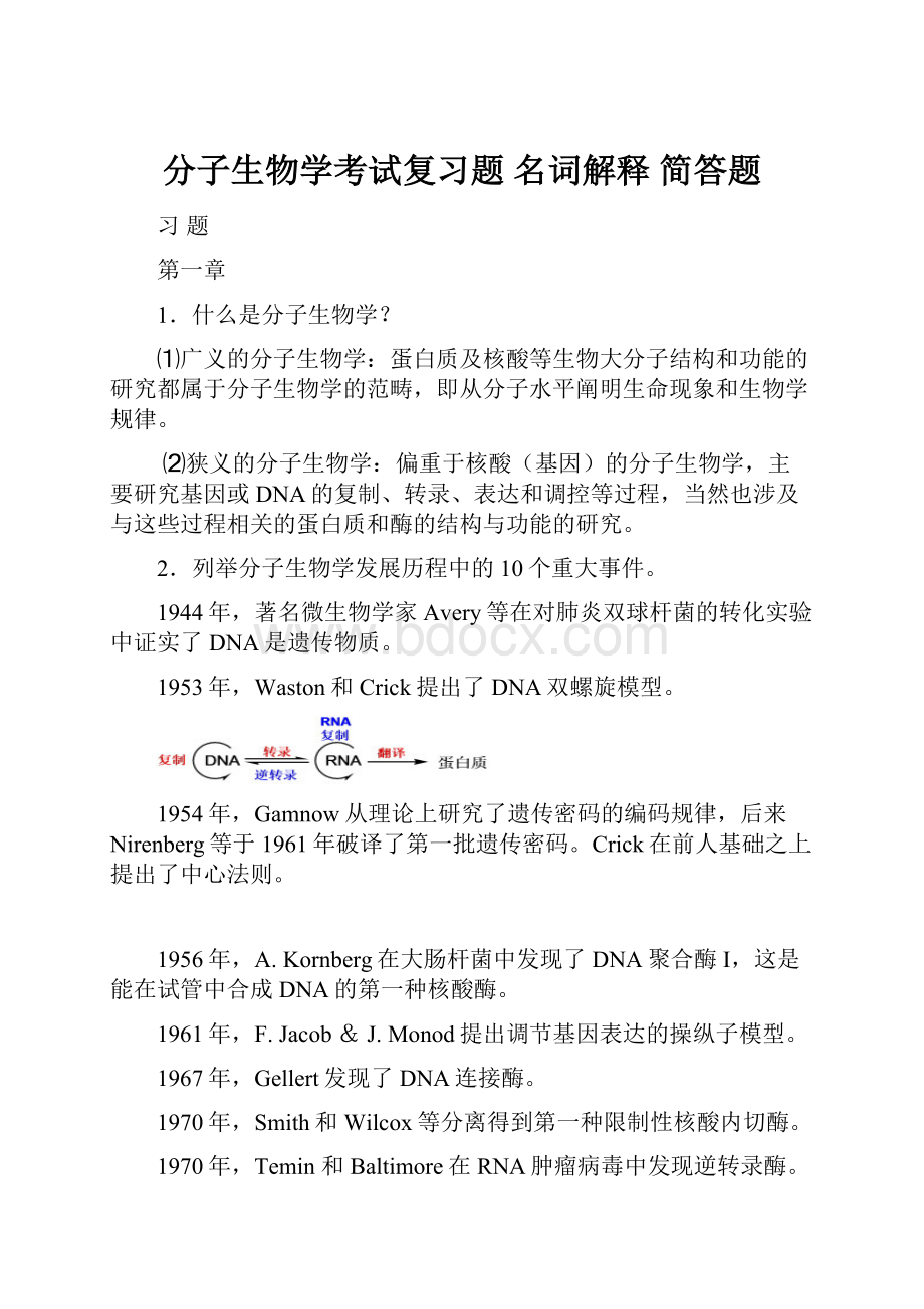 分子生物学考试复习题 名词解释 简答题.docx