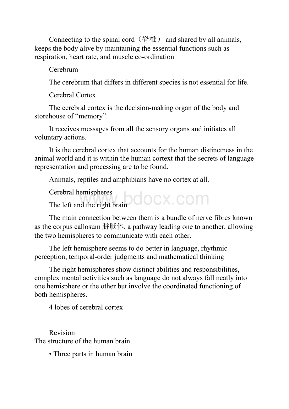 整理Chapter 12Language and the Brain.docx_第2页