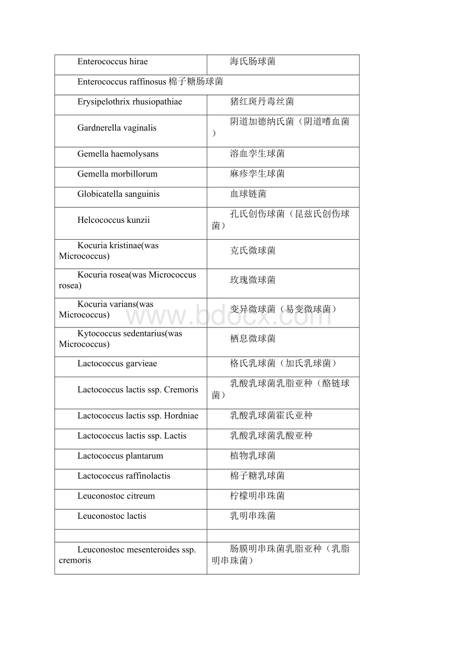 常见微生物中英文对照名称.docx_第3页