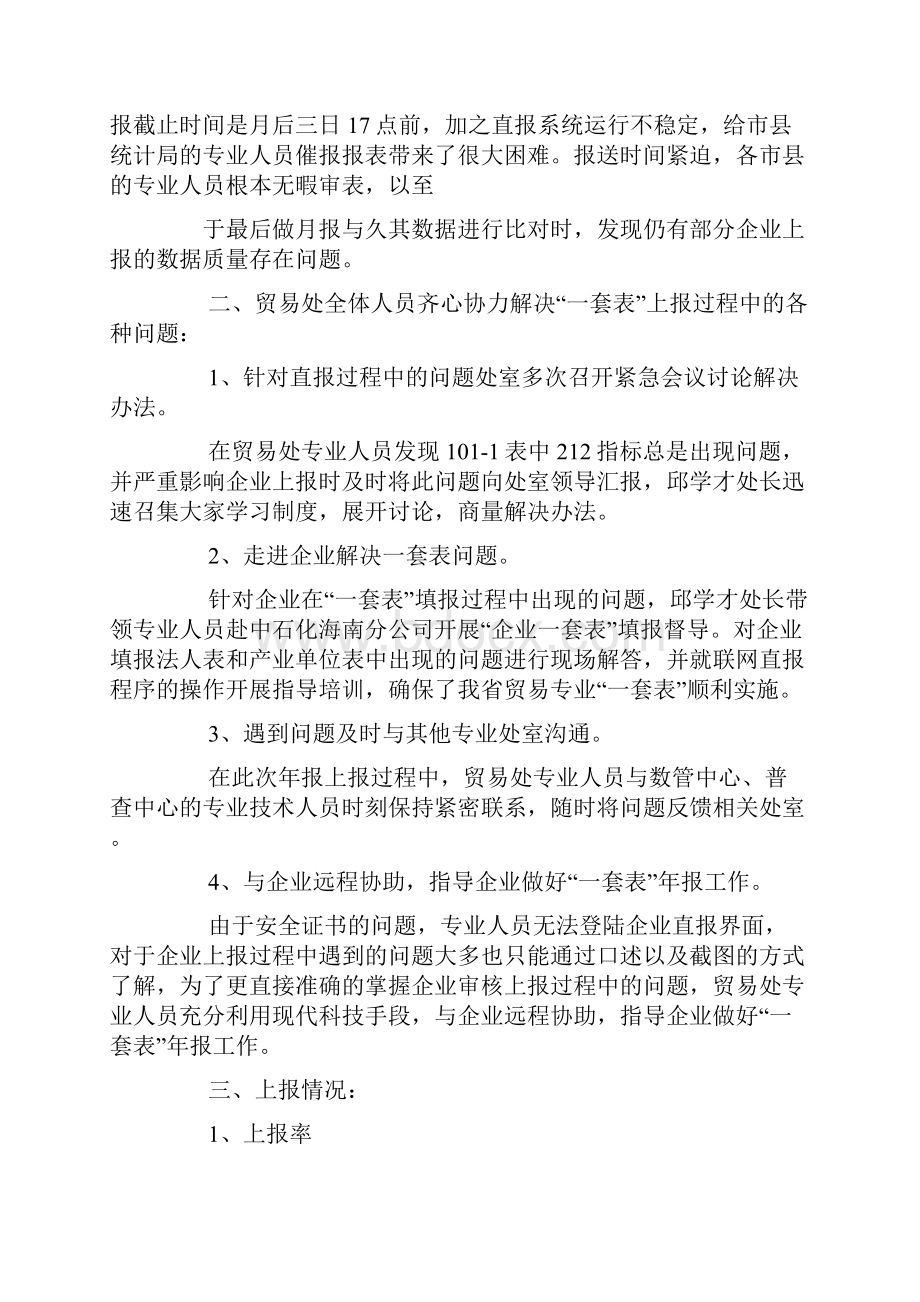 企业一套表年报工作总结.docx_第3页