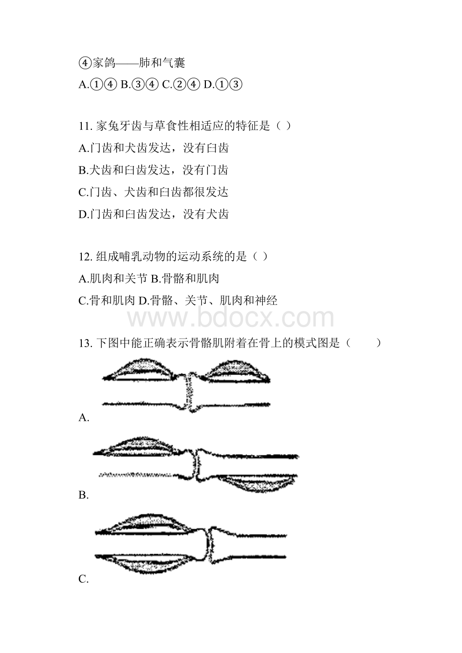 学年有答案福建省厦门市八年级上生物期中质量检测.docx_第3页