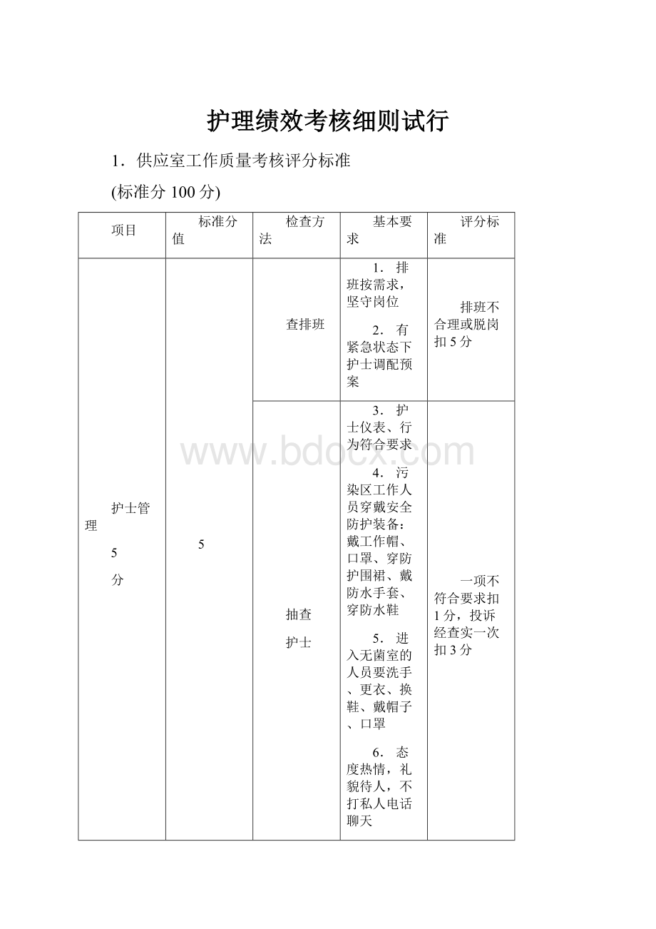 护理绩效考核细则试行.docx