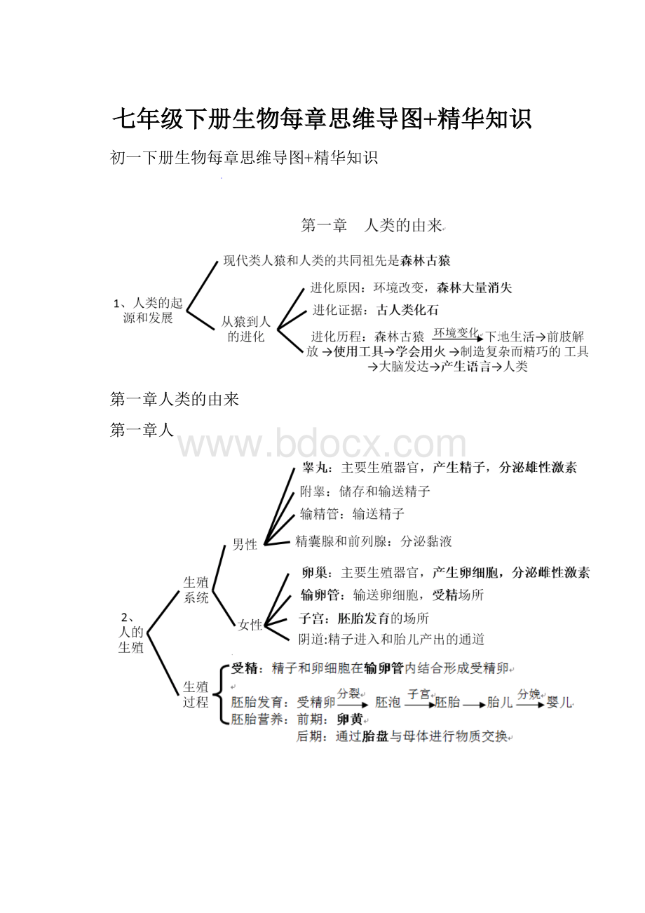 七年级下册生物每章思维导图+精华知识.docx