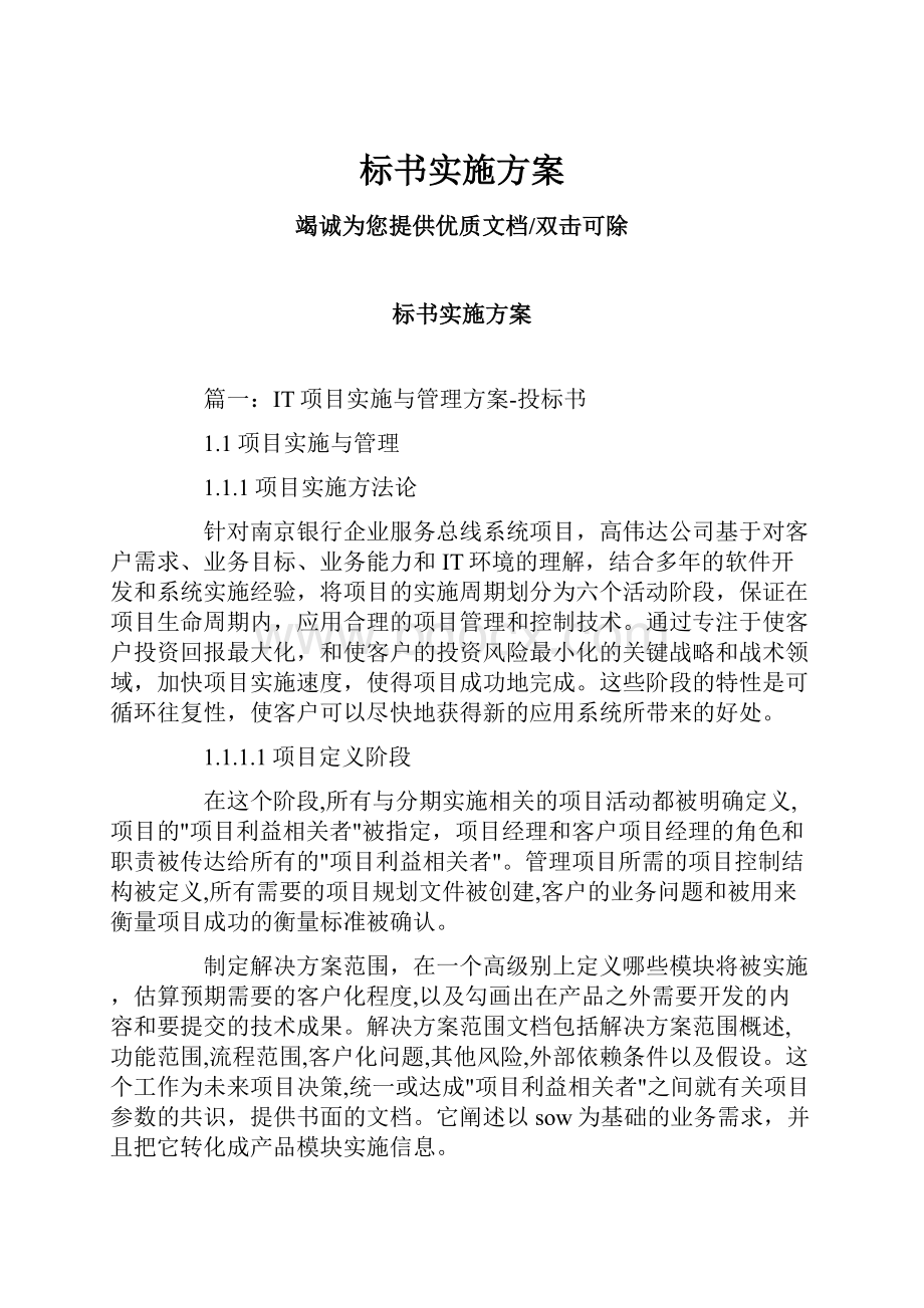 标书实施方案.docx