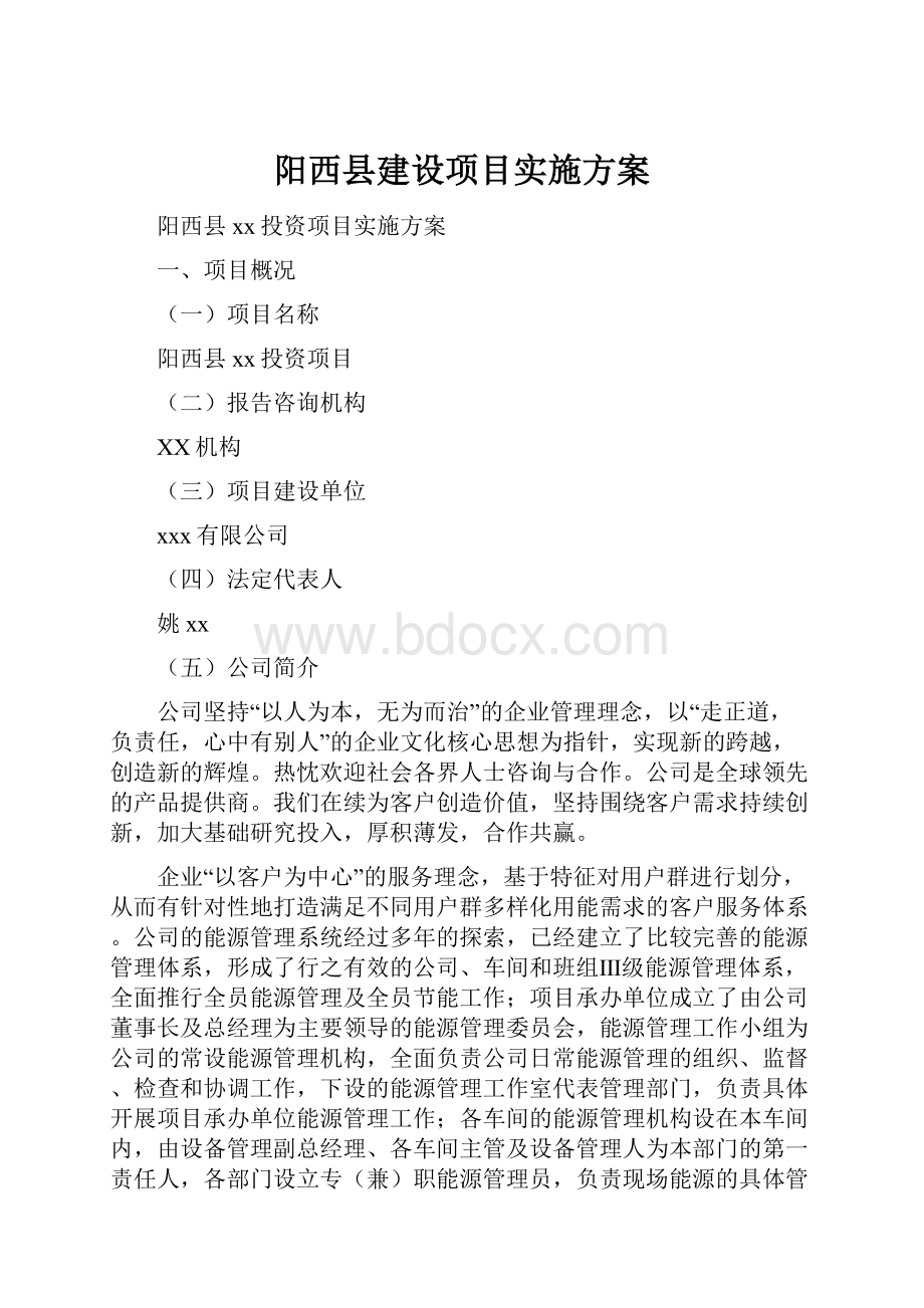 阳西县建设项目实施方案.docx