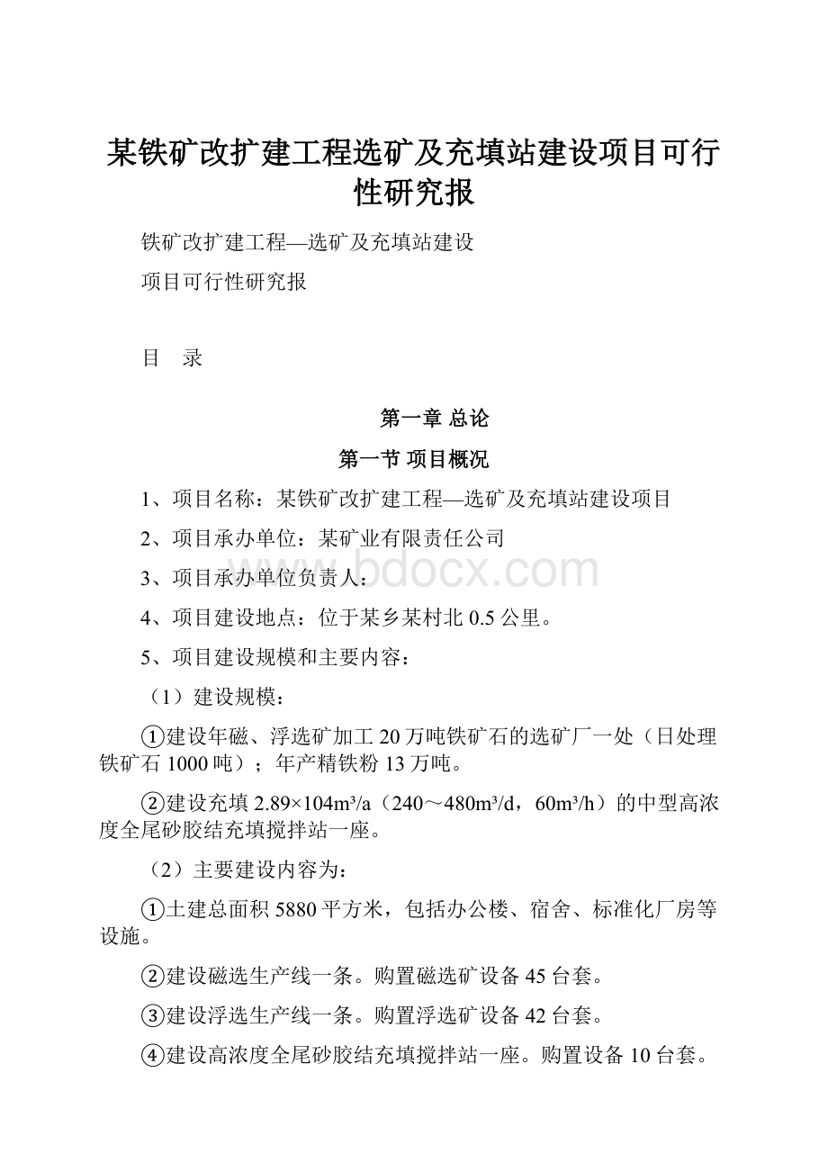 某铁矿改扩建工程选矿及充填站建设项目可行性研究报.docx