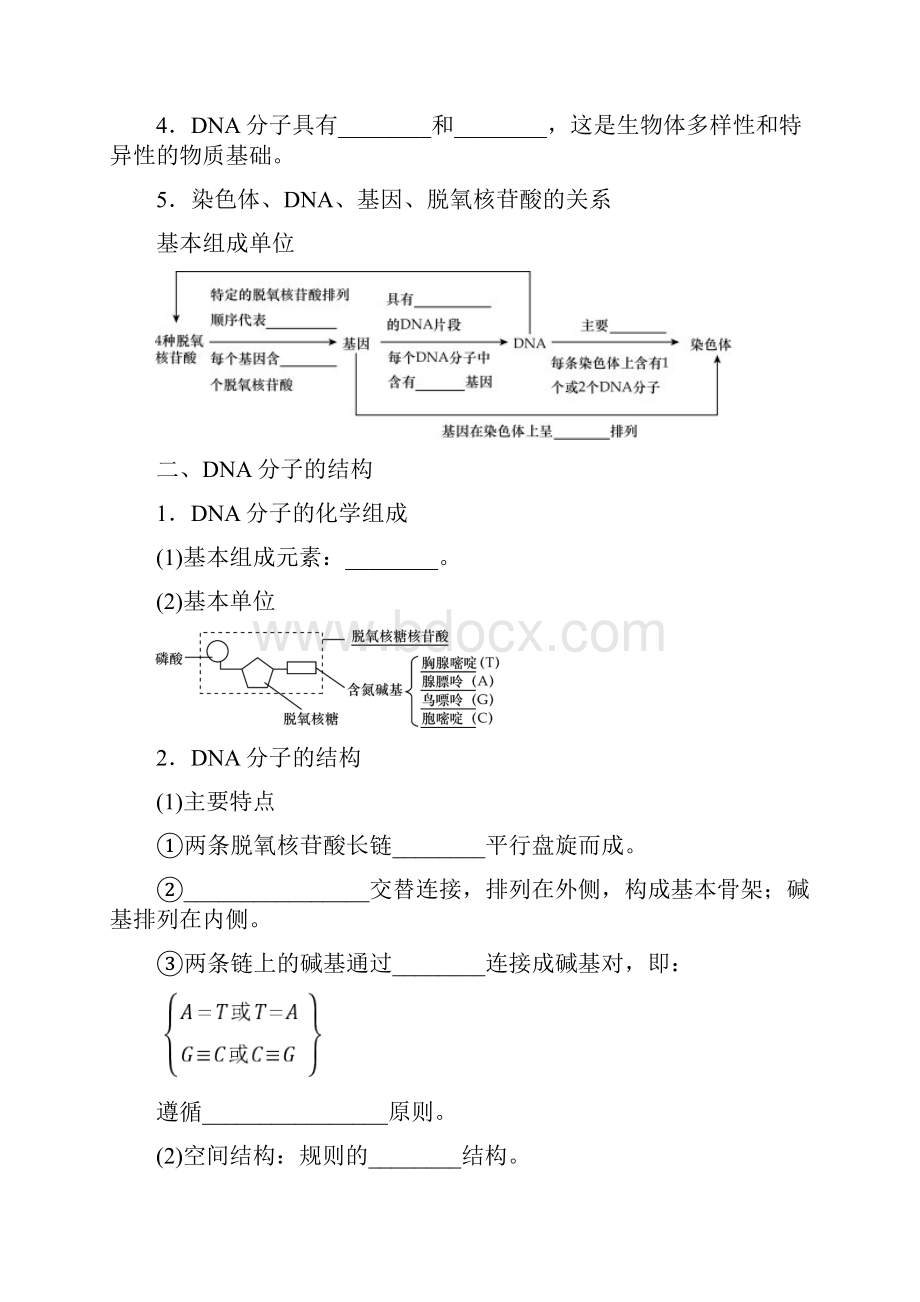 高考生物一轮总复习 第6单元 遗传的分子基础 第2讲 DNA分子的结构和复制学案.docx_第2页