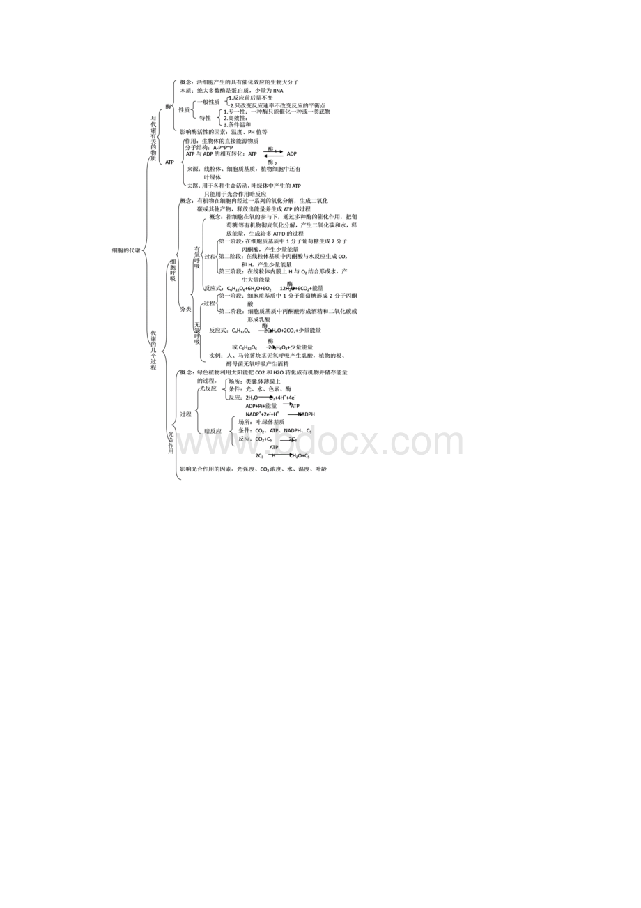 高考一轮复习讲练析精品学案3 细胞的代谢.docx_第3页