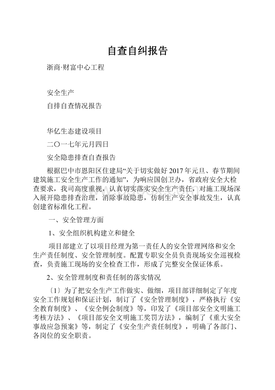 自查自纠报告.docx_第1页