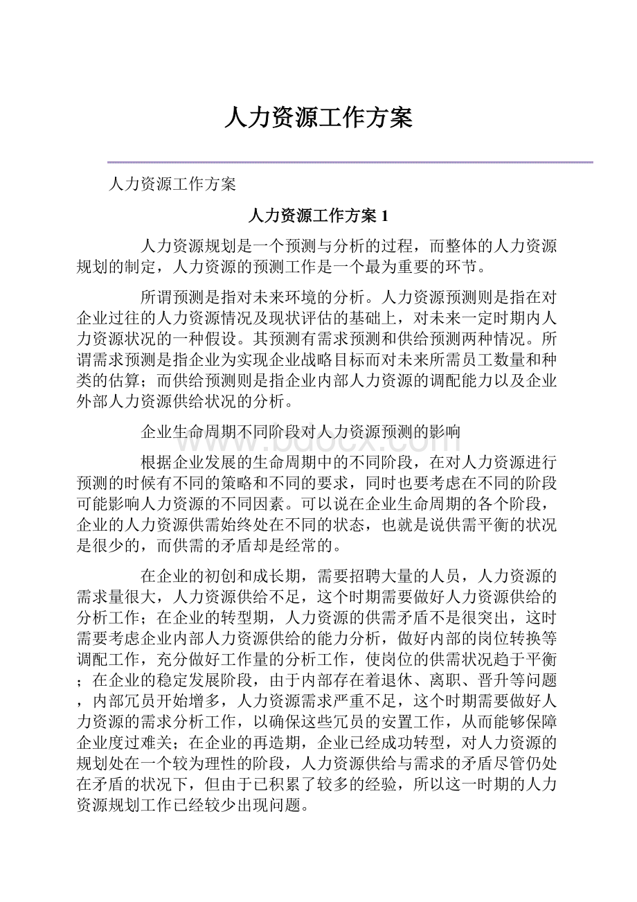 人力资源工作方案.docx